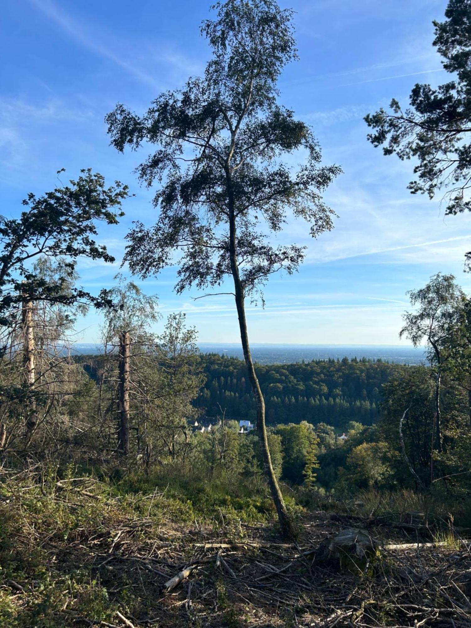 Auszeit Am Toensberg Oerlinghausen Teutoburger Wald Lejlighed Eksteriør billede